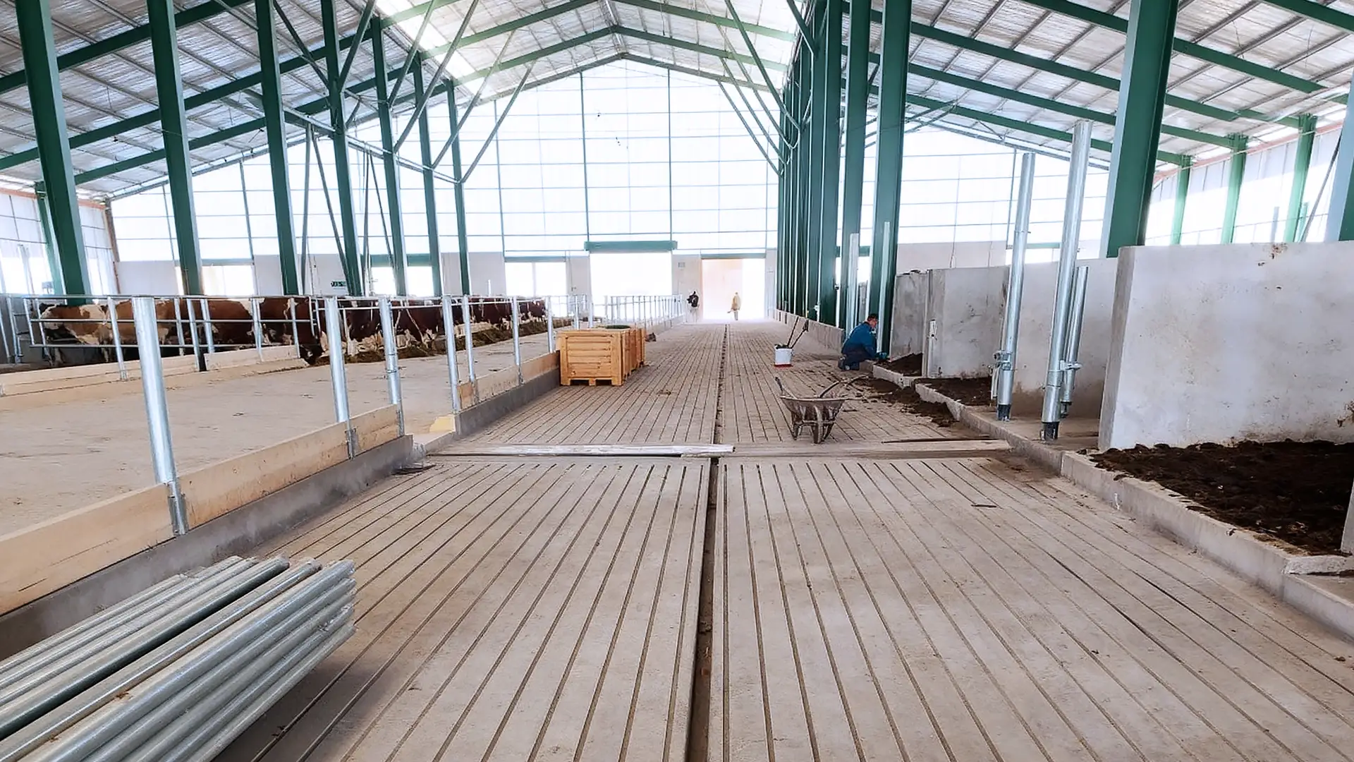 Diamant Vrt Servis - Reference - Protiskluzové drážky pro krávy